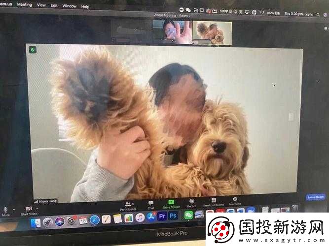 狗-Zoom-和人類-Zoom-哪個好：寵物與人類的比較
