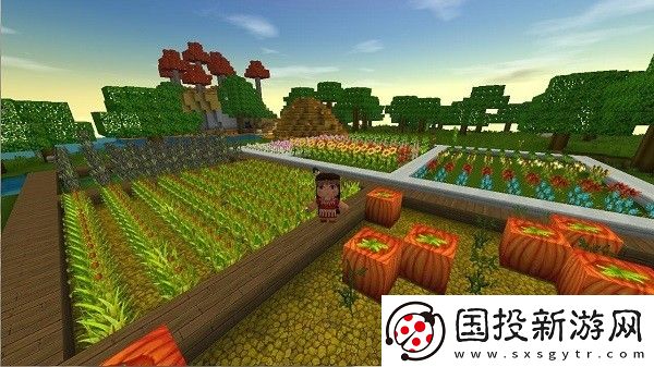 迷你世界測試服