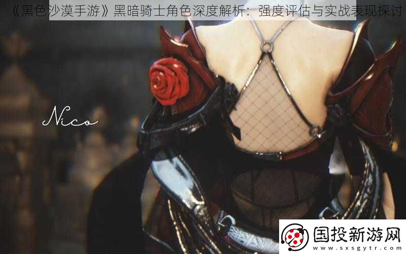 黑色沙漠手游黑暗騎士角色深度解析：強度評估與實戰表現探討