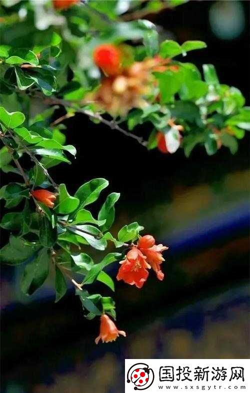 擬題：重櫻炎夏圣痕與淺井茶茶上之完美搭配：綻放的夏日炎炎之火