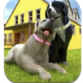 孕犬寵物護理游戲-孕犬寵物護理游戲安卓版V1.0